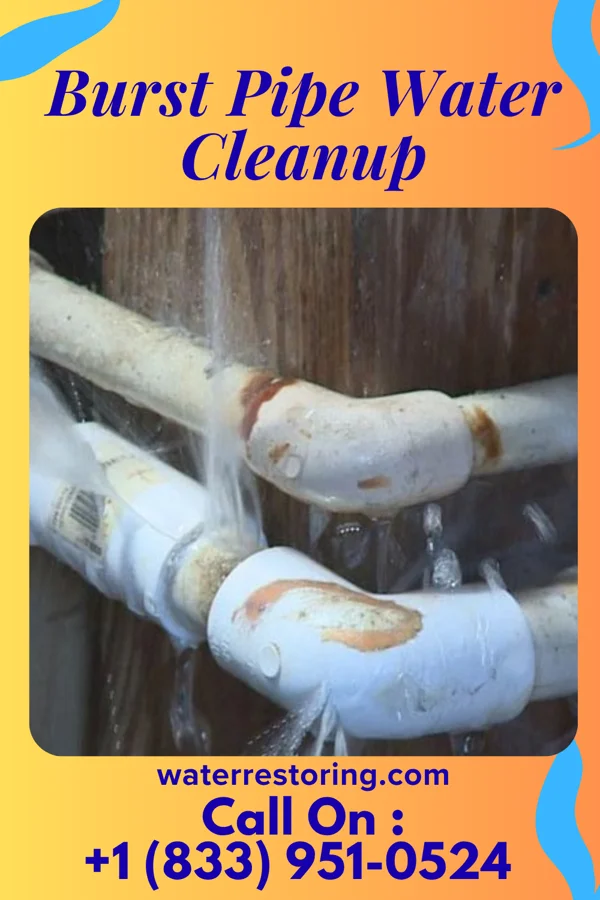 Burst Pipe Water Cleanup in Lohman, MO