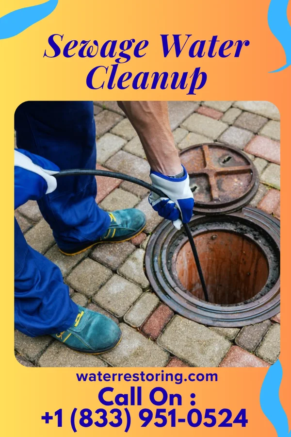 Sewage Water Cleanup in Lohman, MO