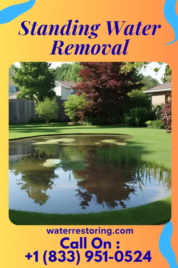 Standing Water Removal in Lohman, MO